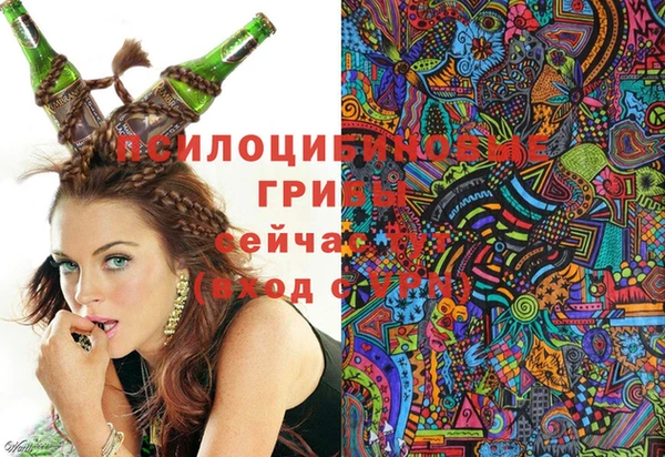 хмурый Белоозёрский